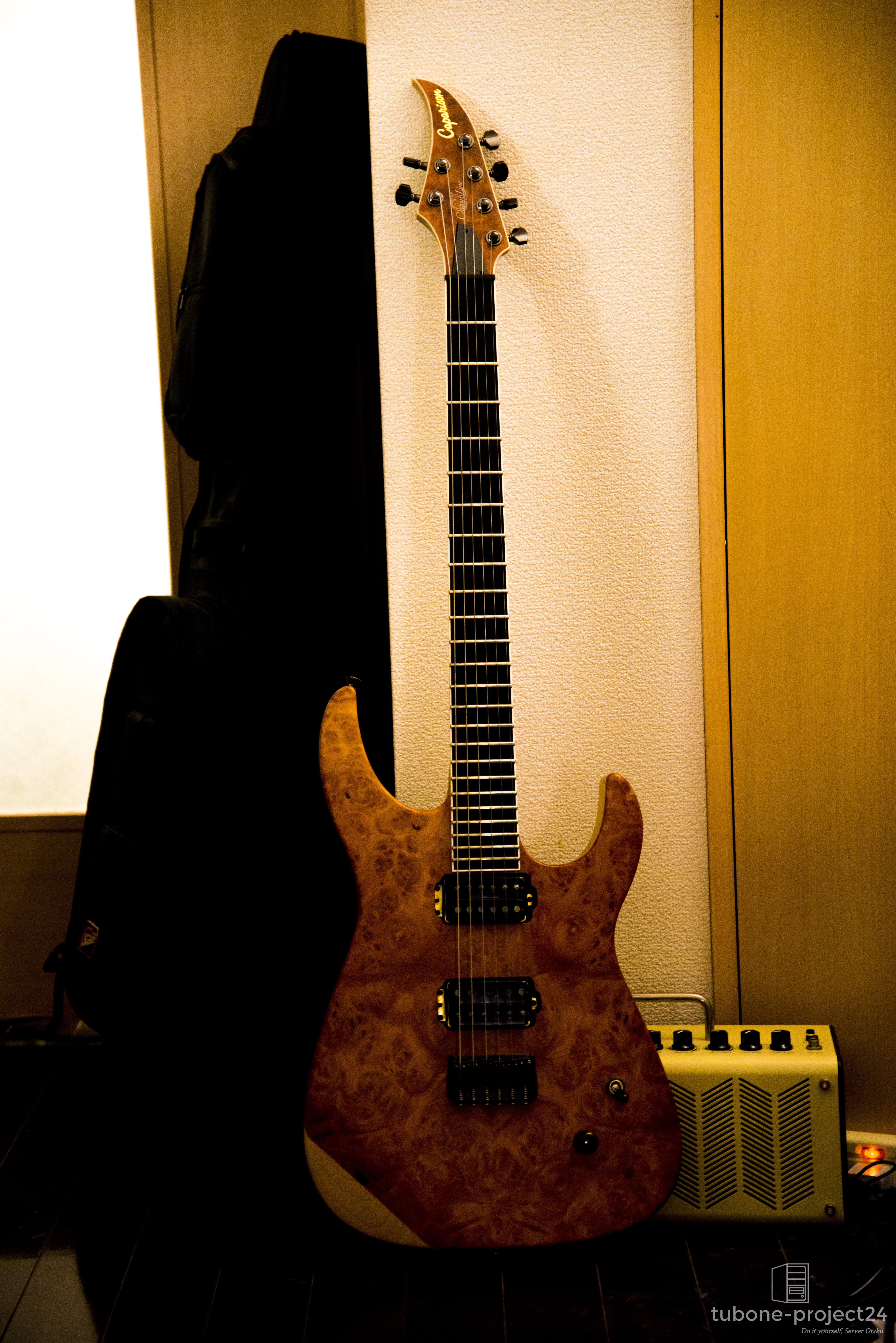 Caparison Dellinger II の正面