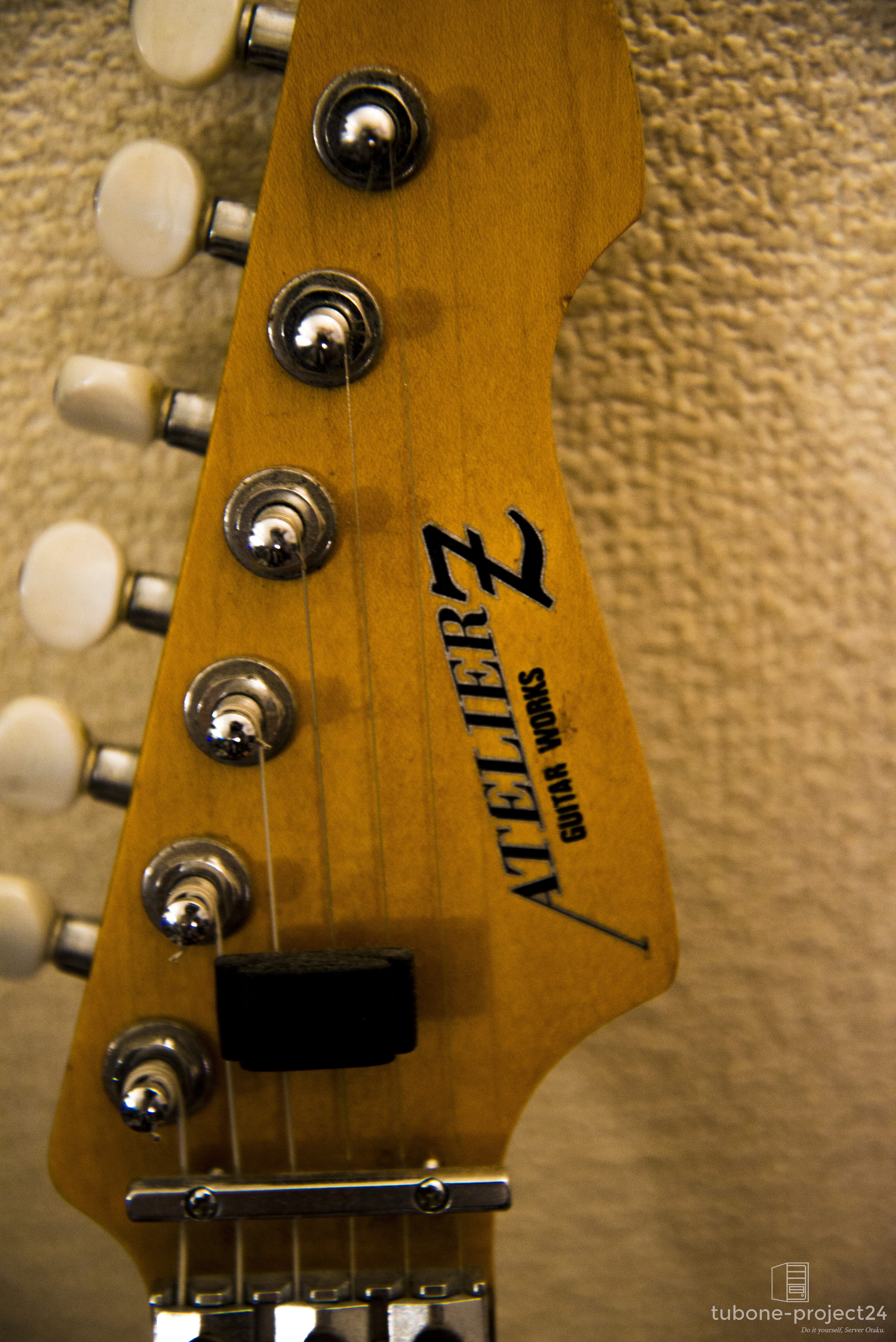 ATELIERZ カスタムオーダーEGのボディ拡大