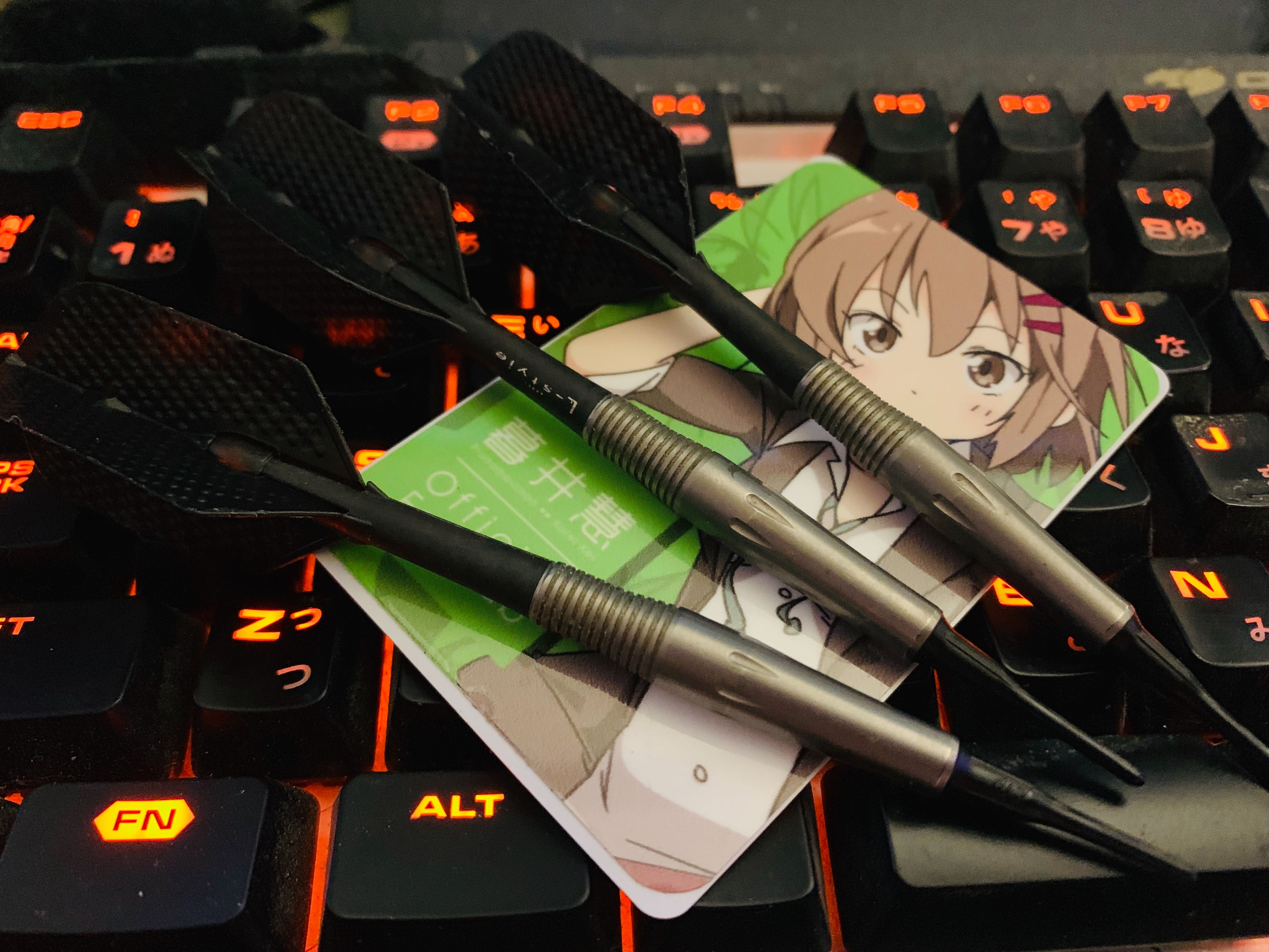 使用しているダーツの写真