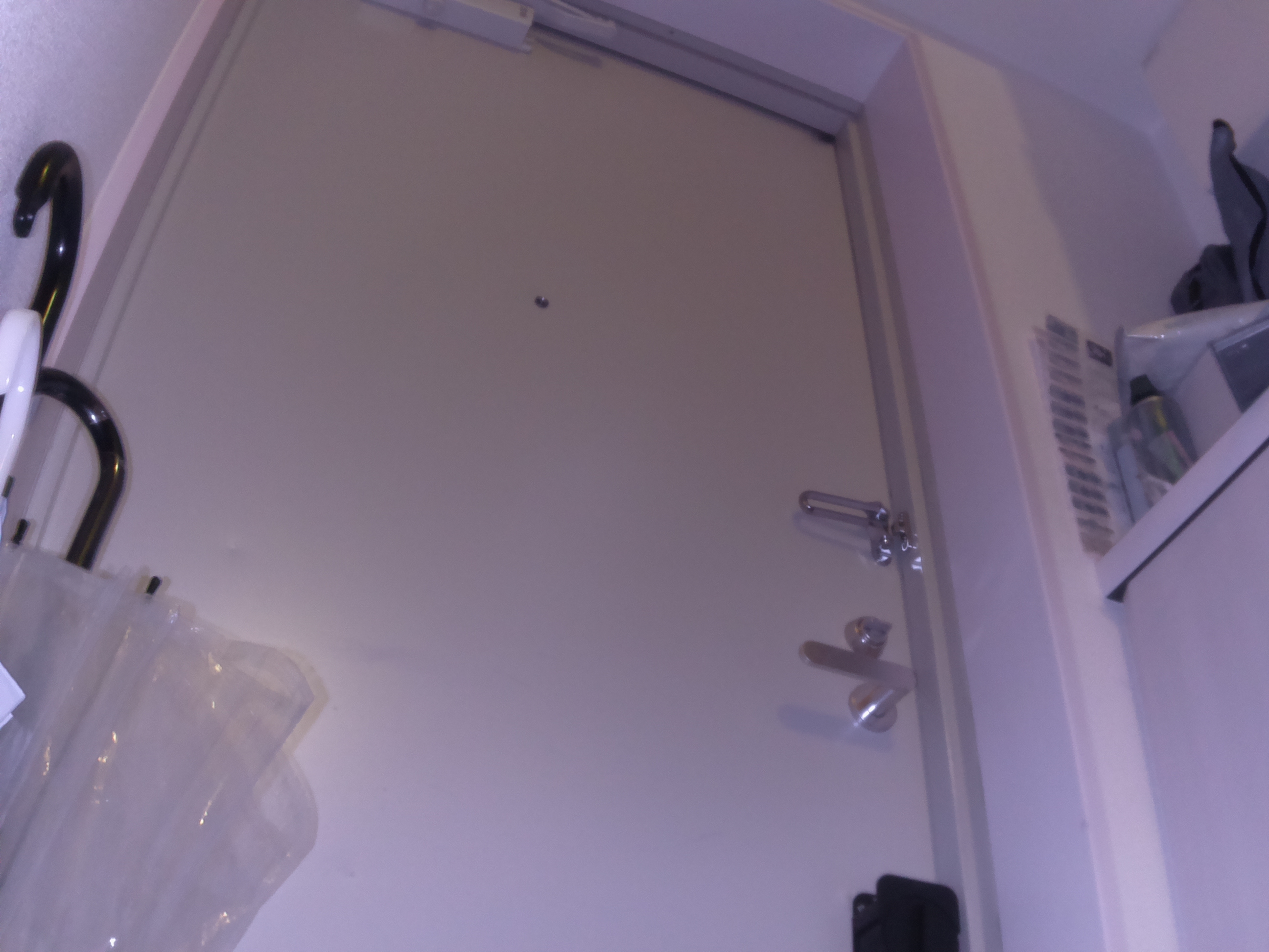 赤外線カメラで撮影したテスト写真