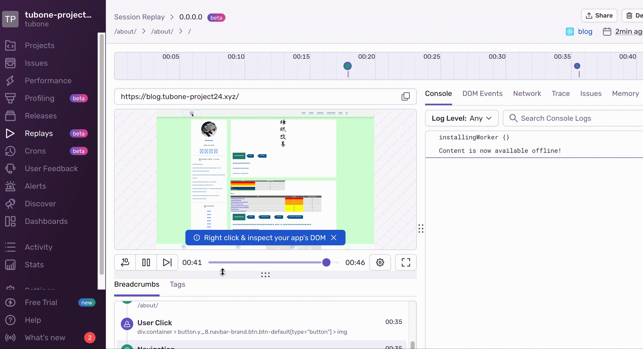 実際のブログでSession Replayがユーザー操作を動画再現しているデモ