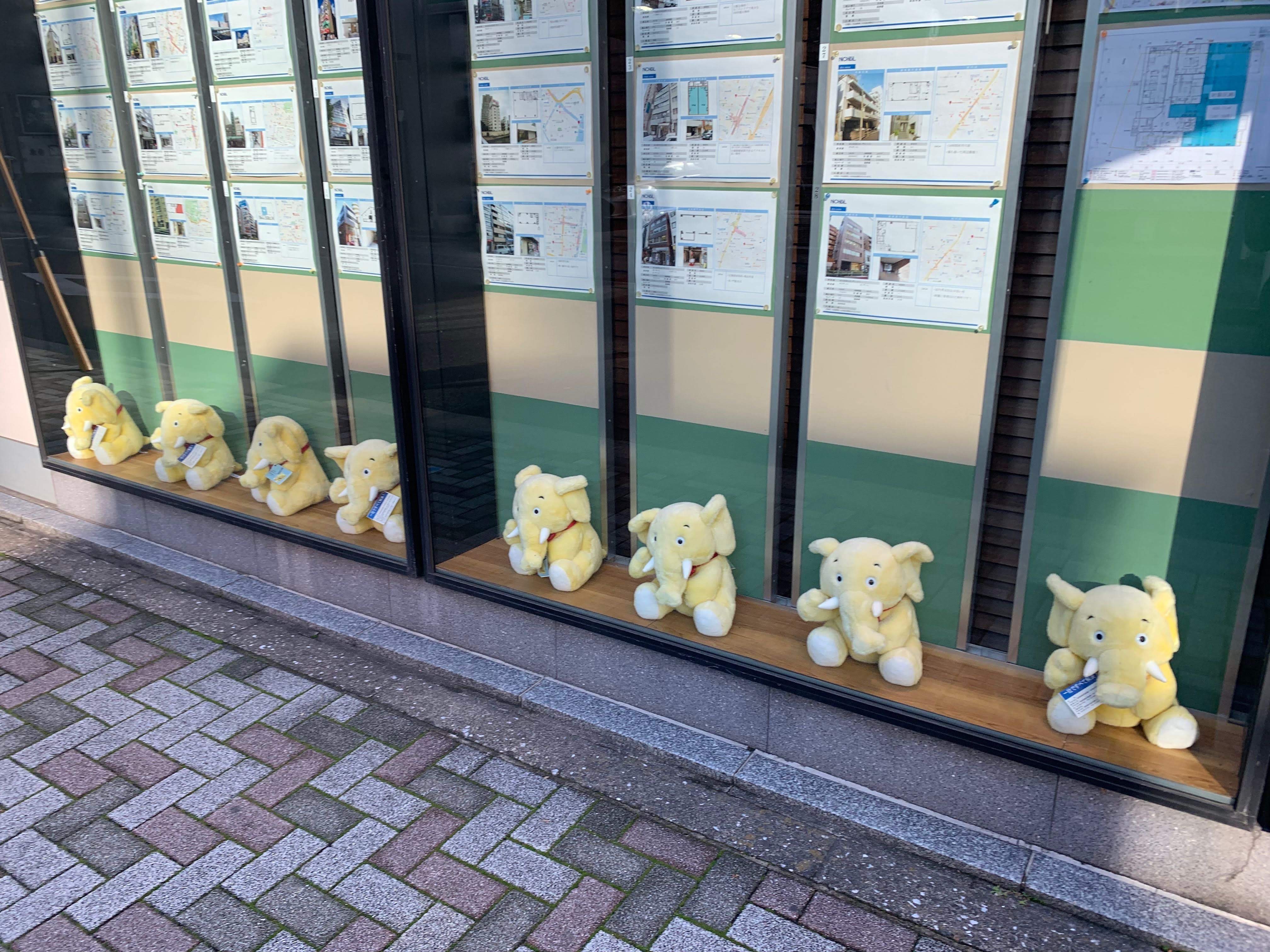 ニチビルのショーウィンドウにたくさん並んだゾウのぬいぐるみたち